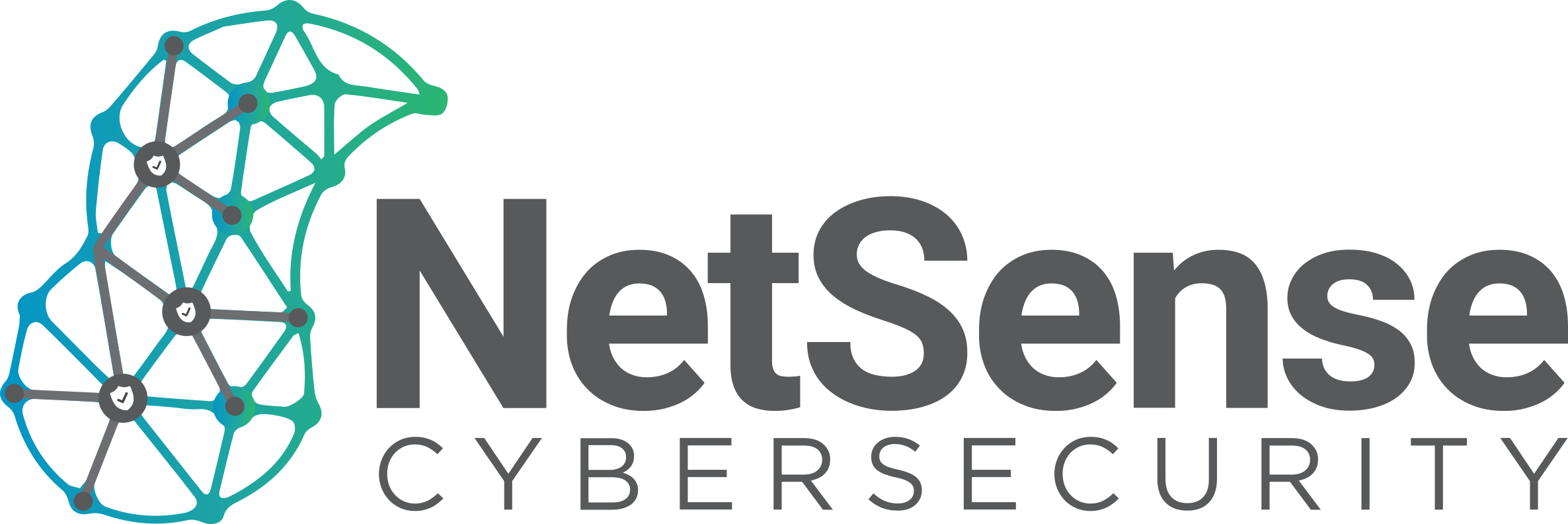 NetSense Logo